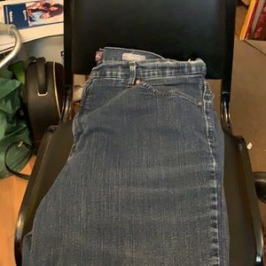 Gloria Vanderbilt Amanda jeans blue